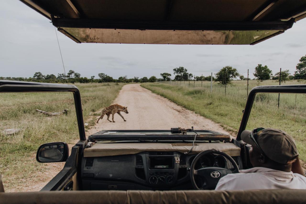 Nkambeni Safari Camp Villa Mtimba Exteriör bild